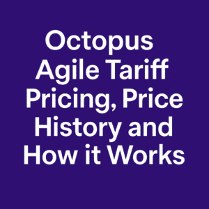 Octopus Agile Prices